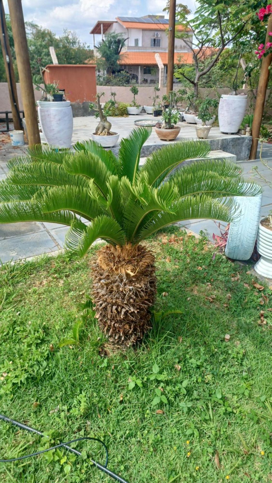 Anexo Da Casa De Campo - 2/4 Com Piscina Petrolina Ngoại thất bức ảnh